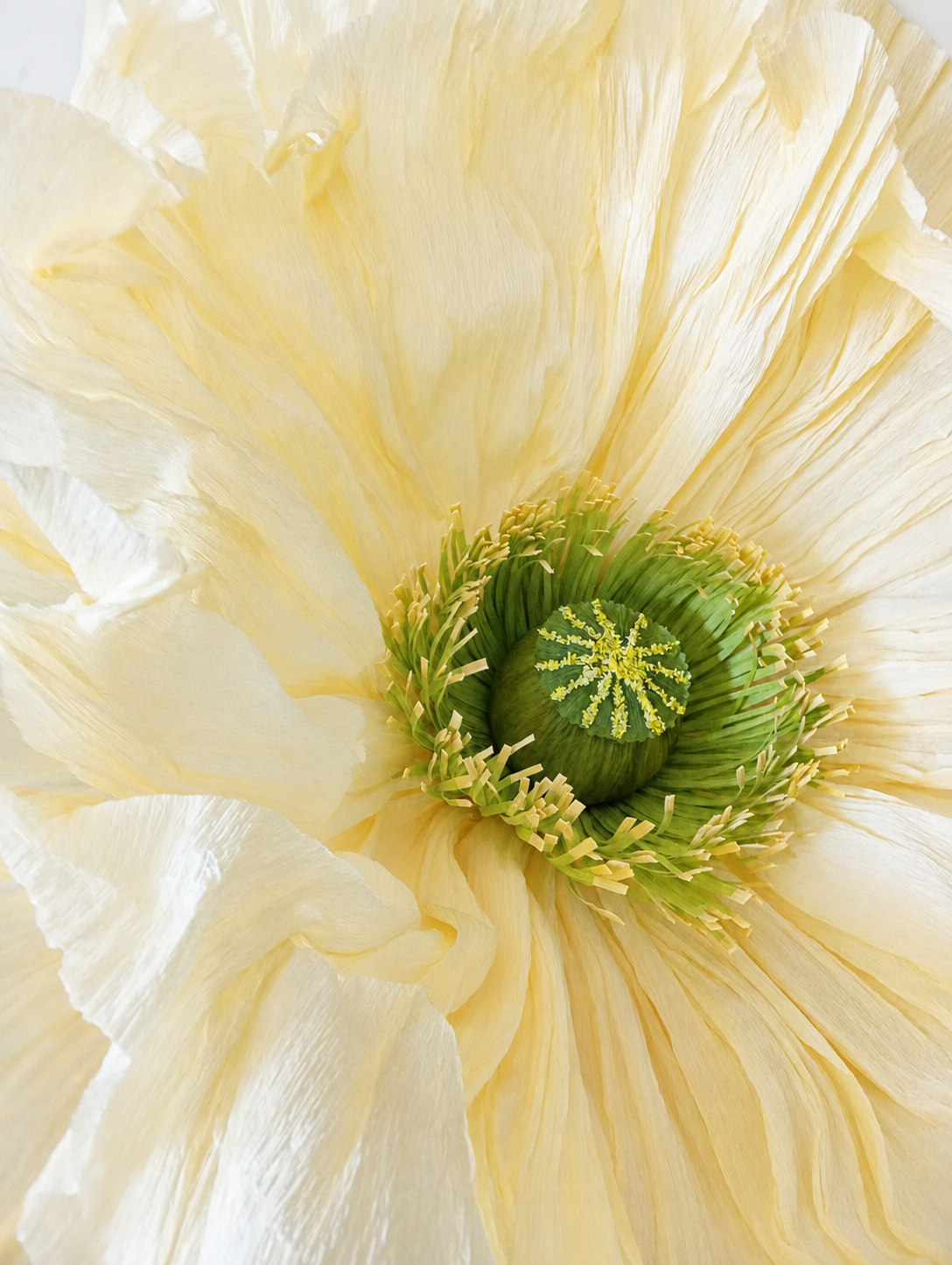 Grande fleur jaune pâle en papier réalisée par Atelier Pirina