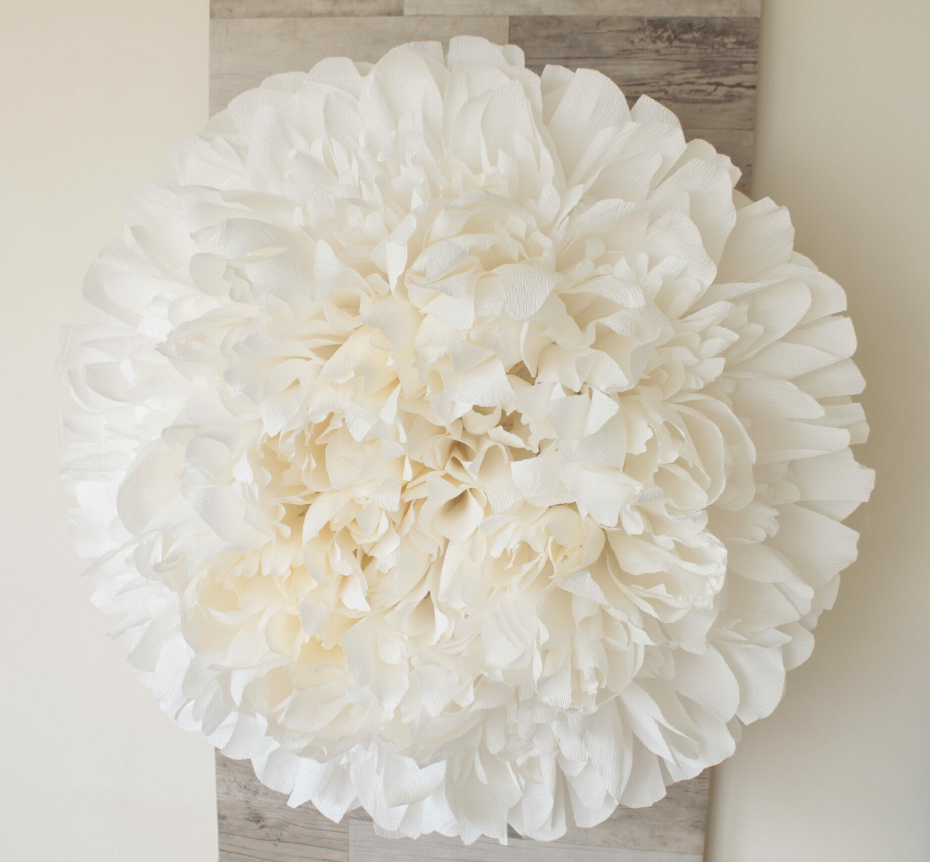 Détail d’une grande fleur blanche en papier