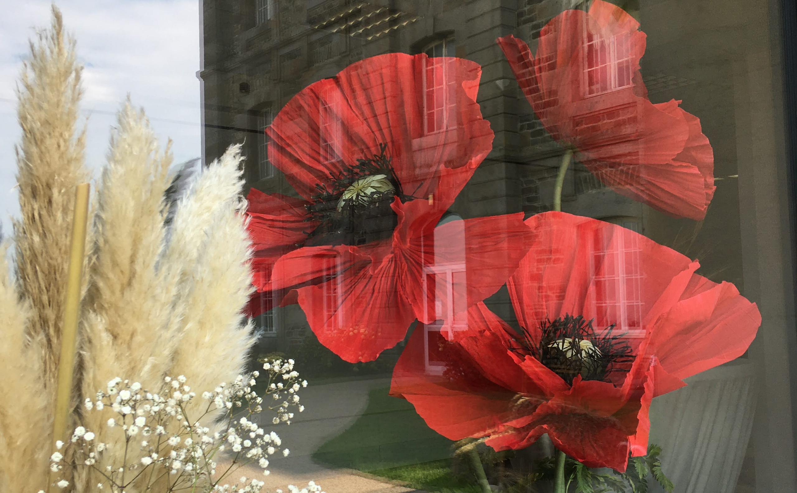Coquelicots rouges en papier pour décoration de vitrine