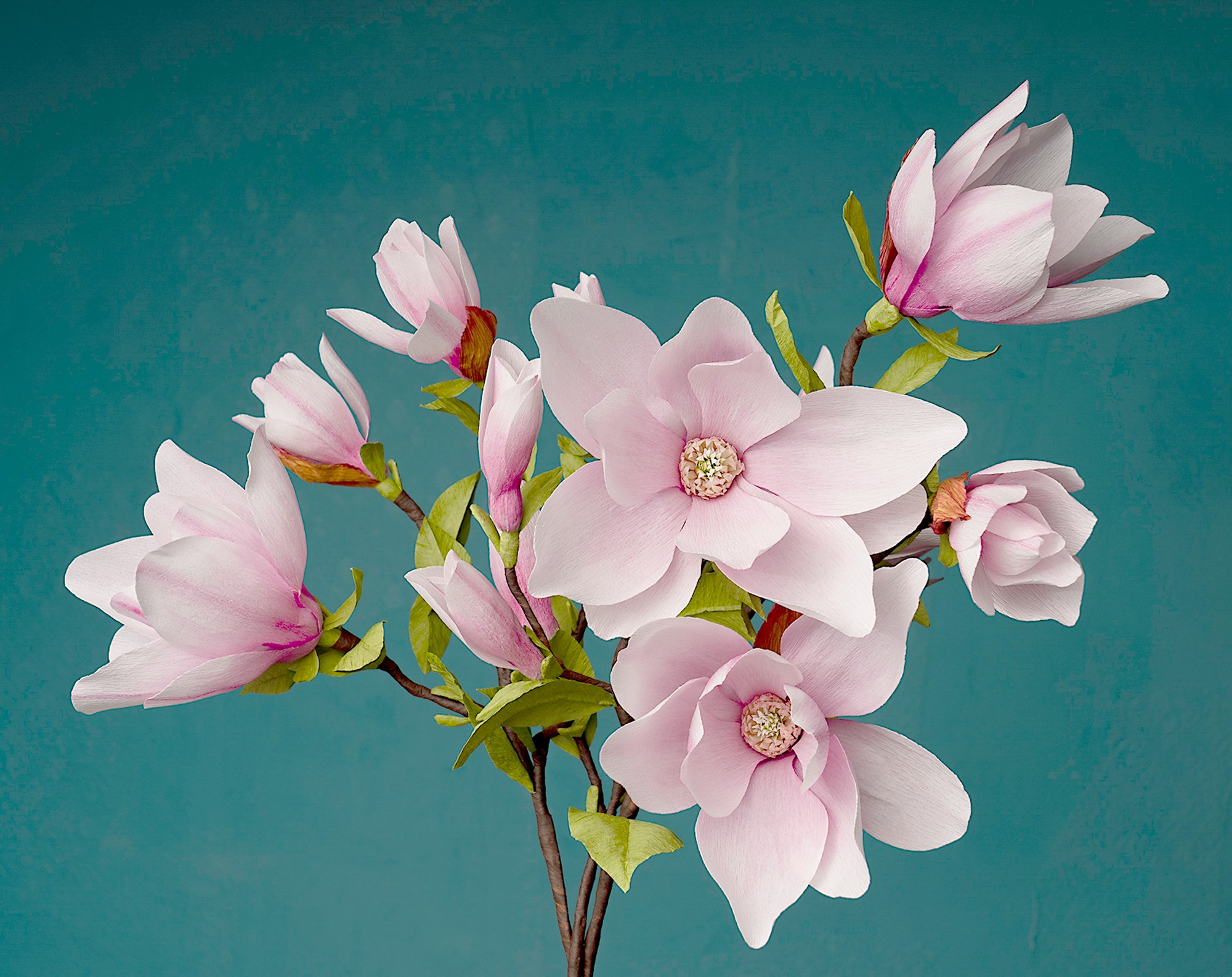 Fleurs en papier à taille naturelle réalisées pour une commande privée